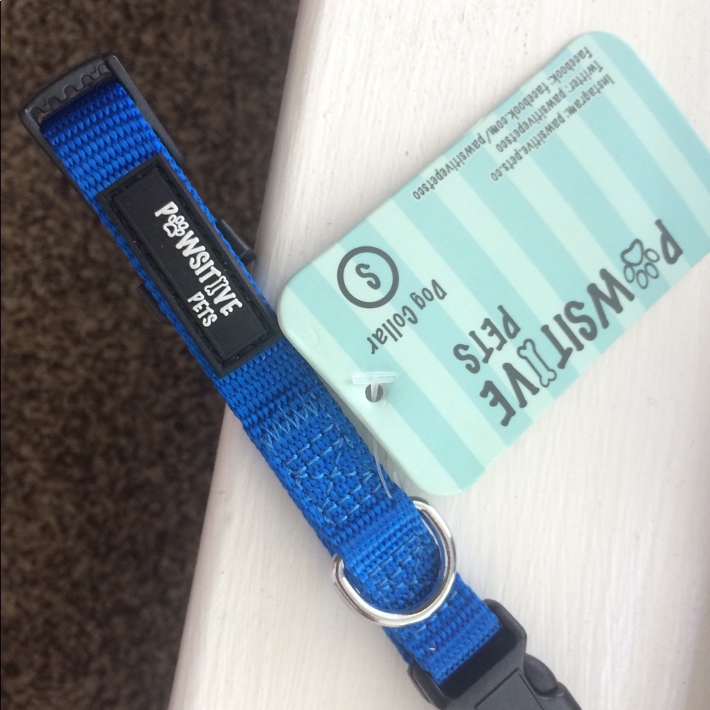 Brand new blue dog collar